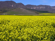 Iran Mountains